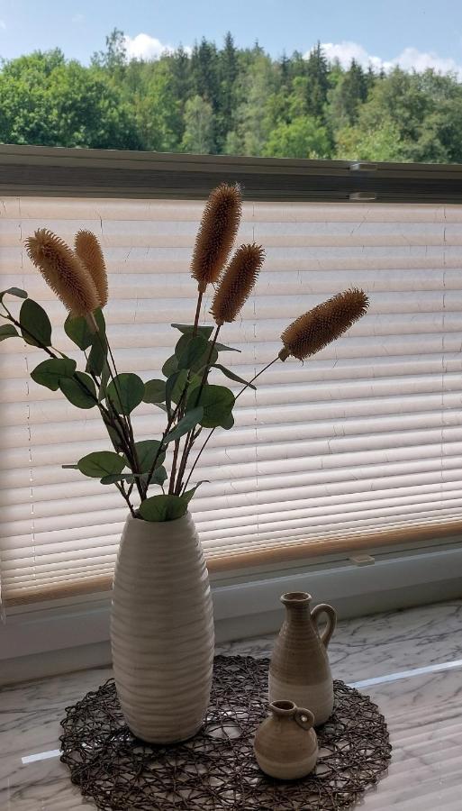 Am Quellenhaeuschen Appartement Naila Buitenkant foto
