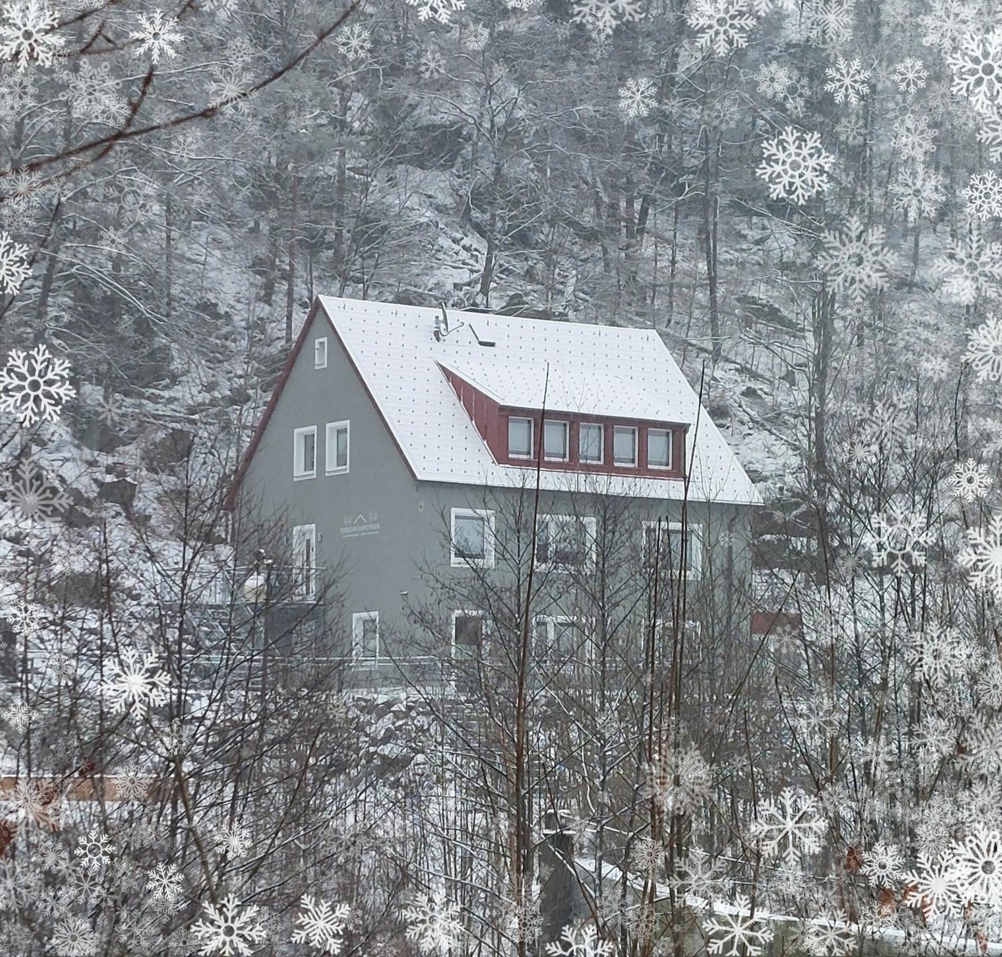 Am Quellenhaeuschen Appartement Naila Buitenkant foto